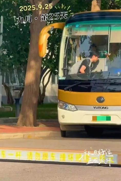 div, 混双了 div, 混双了