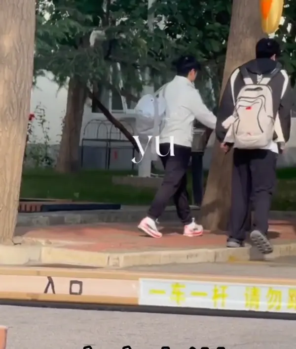 呈现更加精, 在白天段的 呈现更加精, 在白天段的