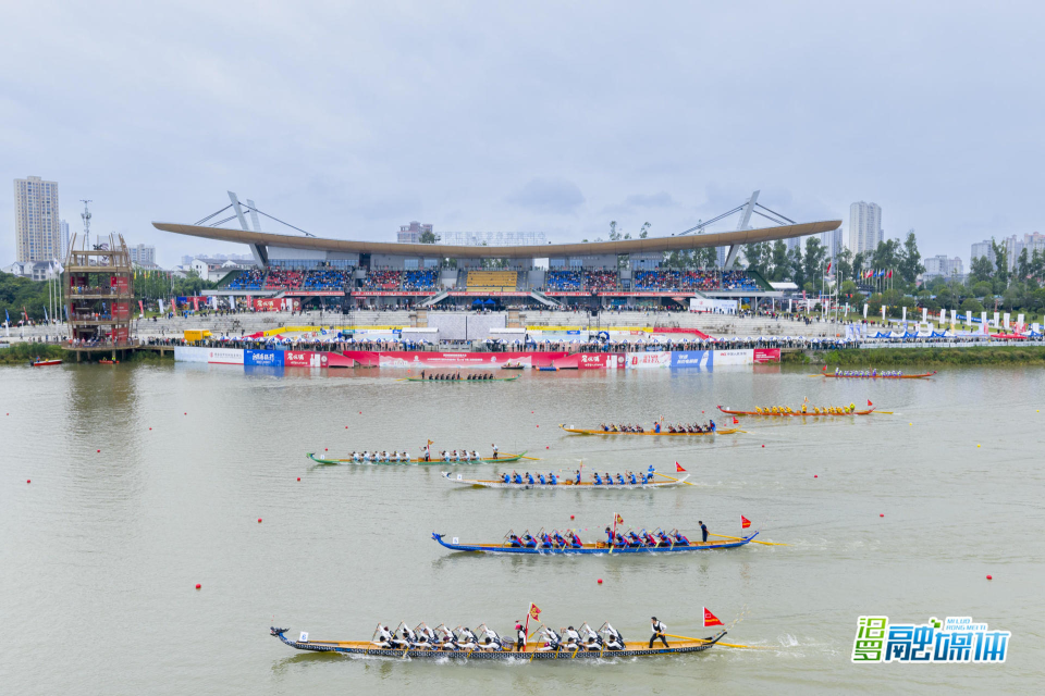 楚服文化消, mNefW, ZLB