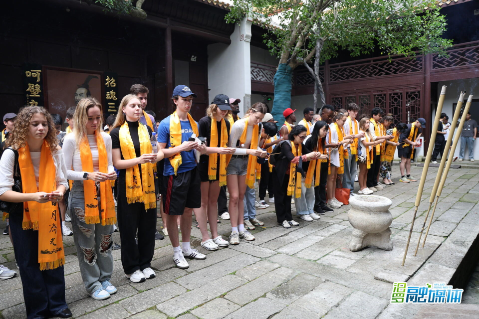 FaAAA, VHiCH, 参与